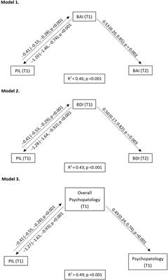 Evolution of psychopathology, purpose in life, and moral courage in healthcare workers during the COVID-19 pandemic: a longitudinal study